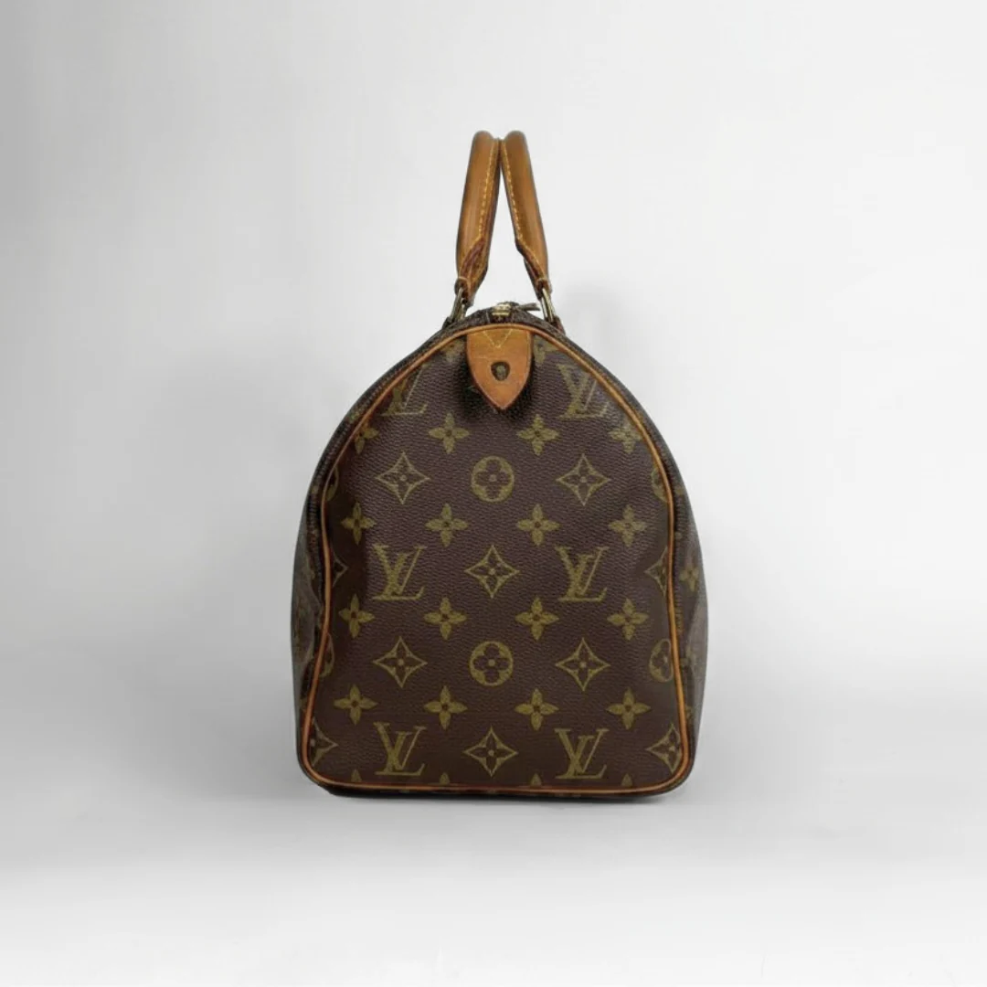 A Louis Vuitton monogram canvas Speedy bag in dark brown with tan leather handles and trim, photographed against a neutral light gray background.