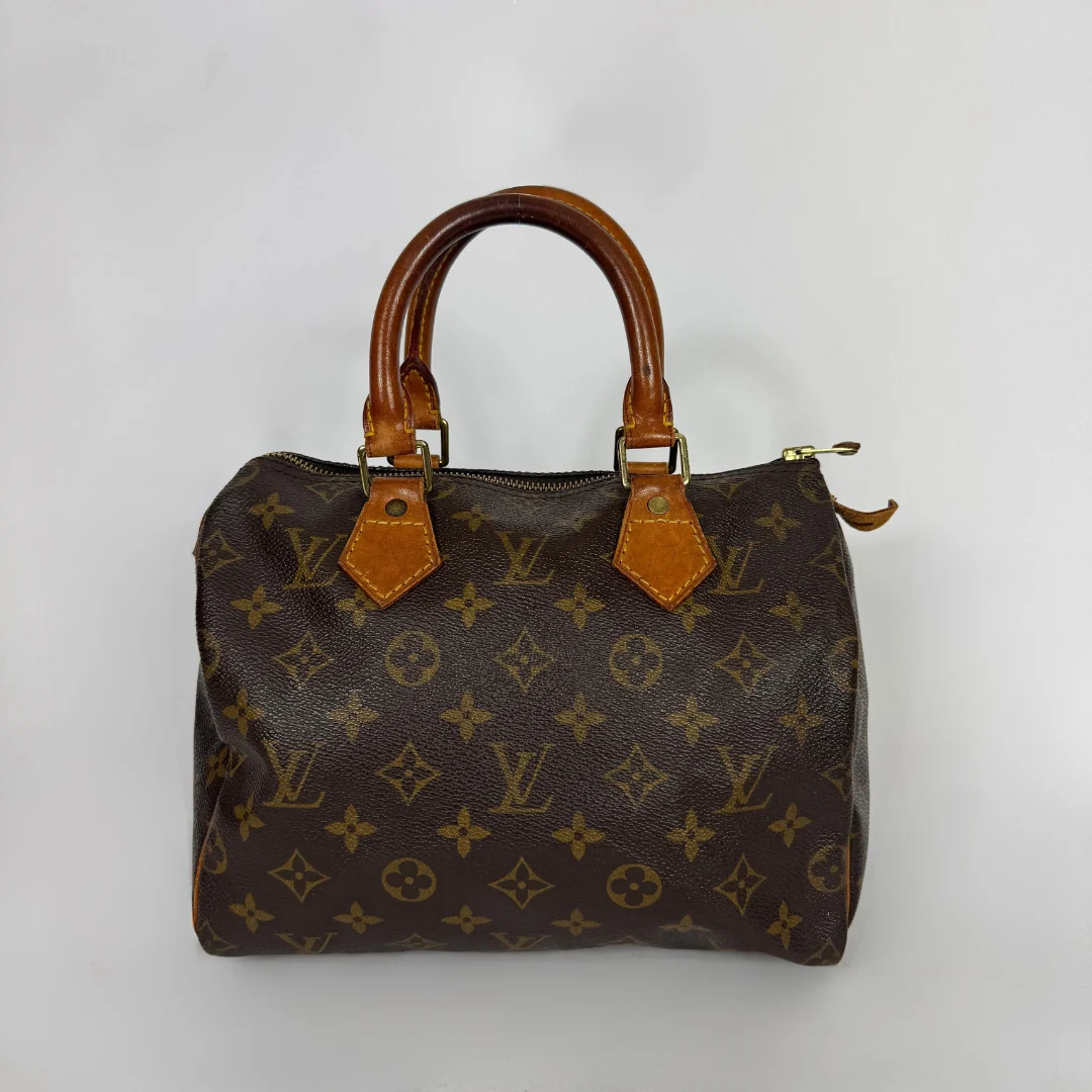 Louis Vuitton Speedy 25 on a white background