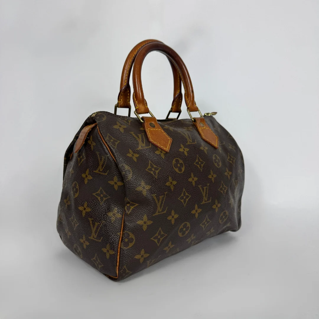 Louis Vuitton Speedy 25 on a white background