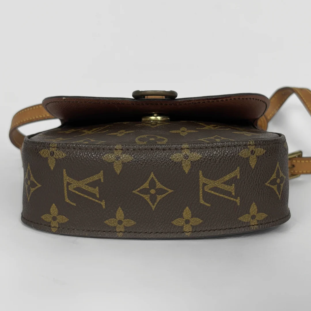 Louis Vuitton monogram handbag on a light gray background