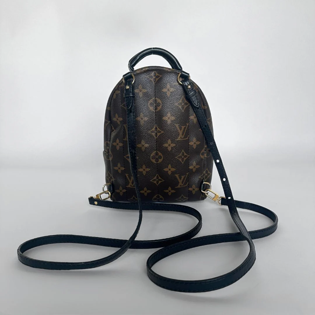 Louis Vuitton Louis Vuitton Palm Springs Backpack Monogram Canvas - Backpacks - Etoile Luxury Vintage